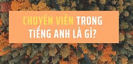 Chuyên Viên Trong Tiếng Anh Là Gì