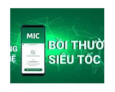 Công Ty Bảo Hiểm Mic Đà Nẵng Tuyển Dụng 2023