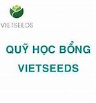 Học Bổng Vietseeds 2022 Là Gì 2 Tháng Nào