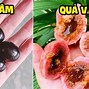 Quả Bù Ta