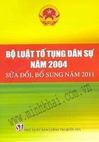 Tố Tụng Dân Sự Năm 2004