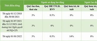 Tỷ Lệ Đóng Bhxh Năm 2021 Của Người Nước Ngoài