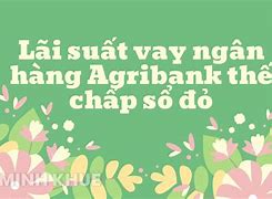 Vay Tiền Ngân Hàng Lãi Suất Thấp Agribank